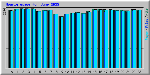 Hourly usage for June 2025