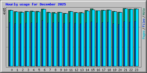 Hourly usage for December 2025