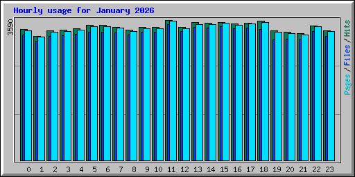 Hourly usage for January 2026